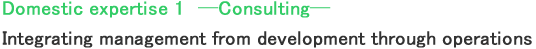 Domestic expertise 1　─Consulting─