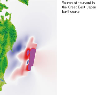 Source of tsunami in the Great East Japan Earthquake