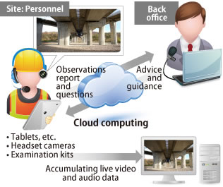 Remote diagnostic system 