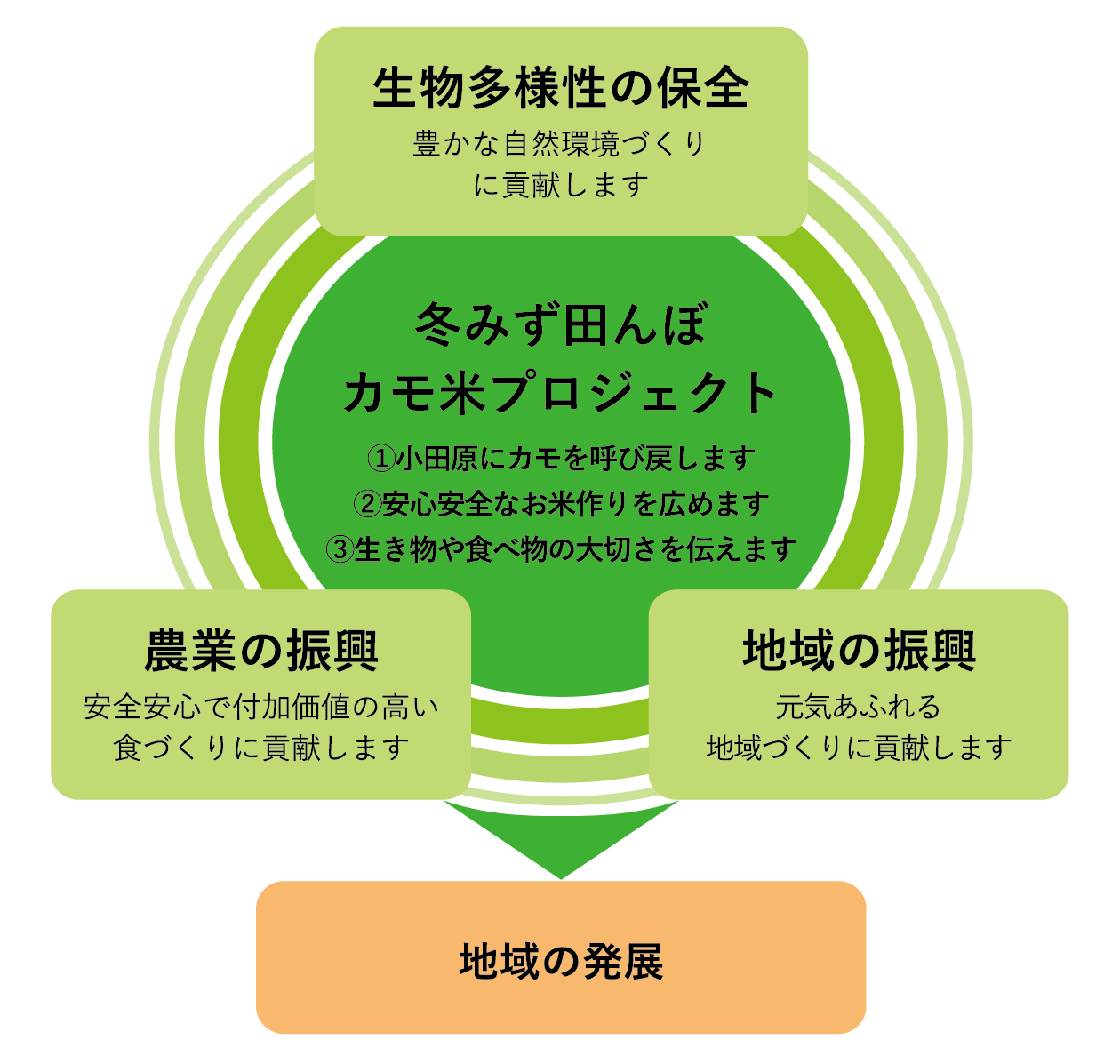 冬みず田んぼから広がる地域の発展の輪 冬みず田んぼから広がる地域の発展の輪