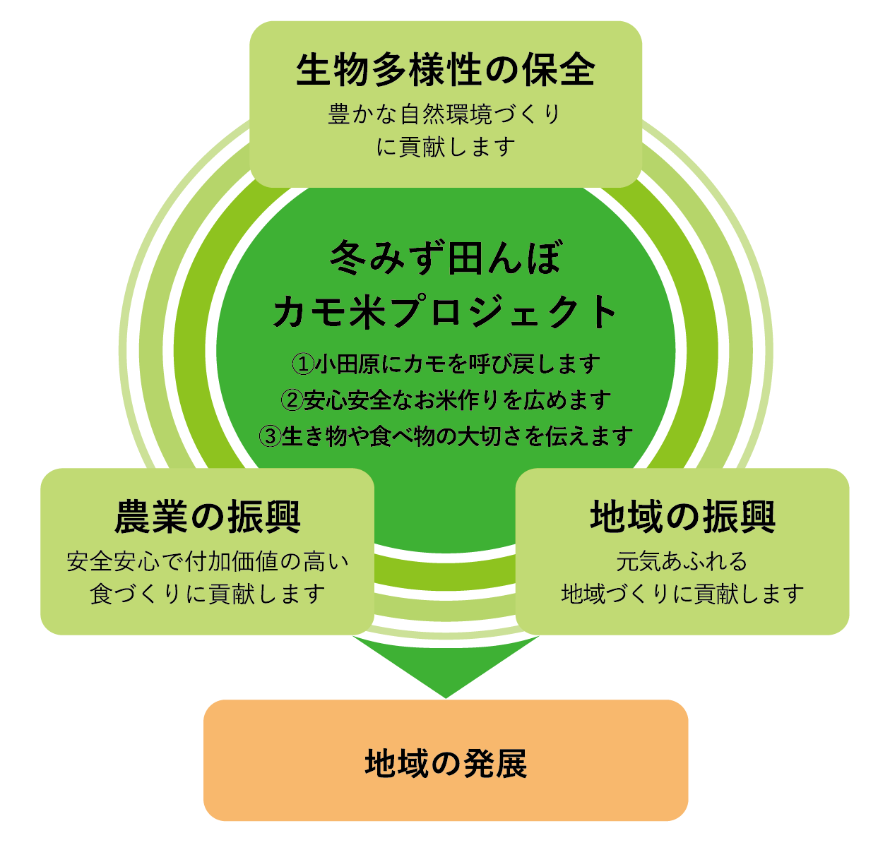 冬みず田んぼから広がる地域の発展の輪